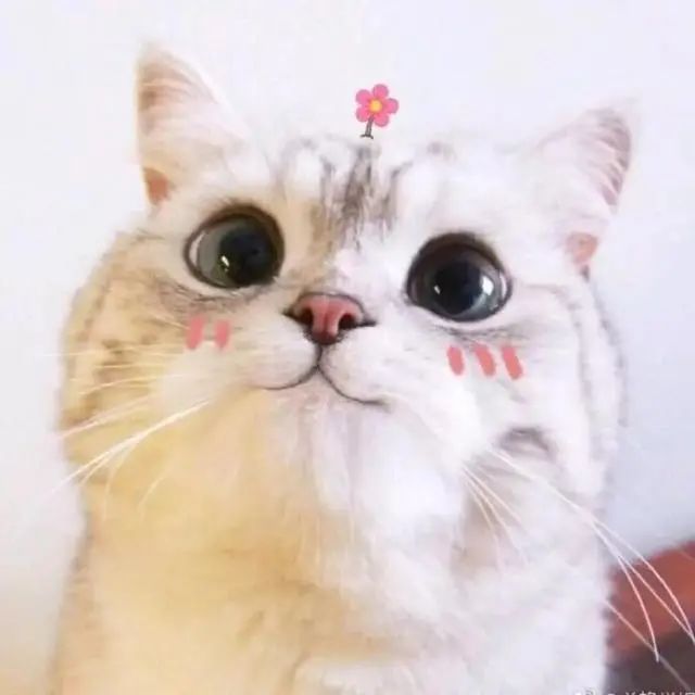 DƬ